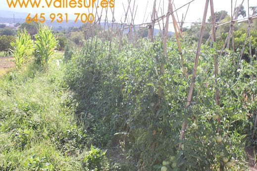 Landgrundstück zu verkaufen in Restabal - 20.000 € (Ref: 9588089)