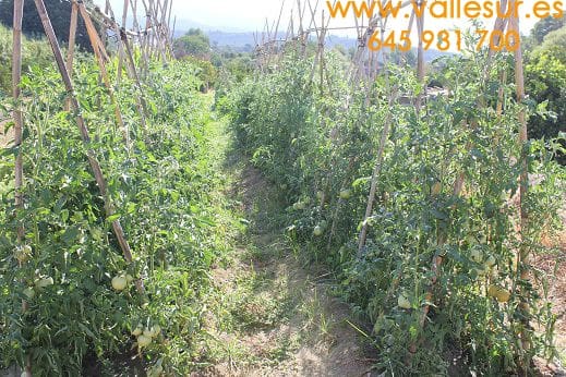 Landgrundstück zu verkaufen in Restabal - 20.000 € (Ref: 9588089)