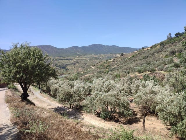 Grunde uden byggetilladelser til salg i Chite, Lecrín - € 10.500 (Ref: 9694886)