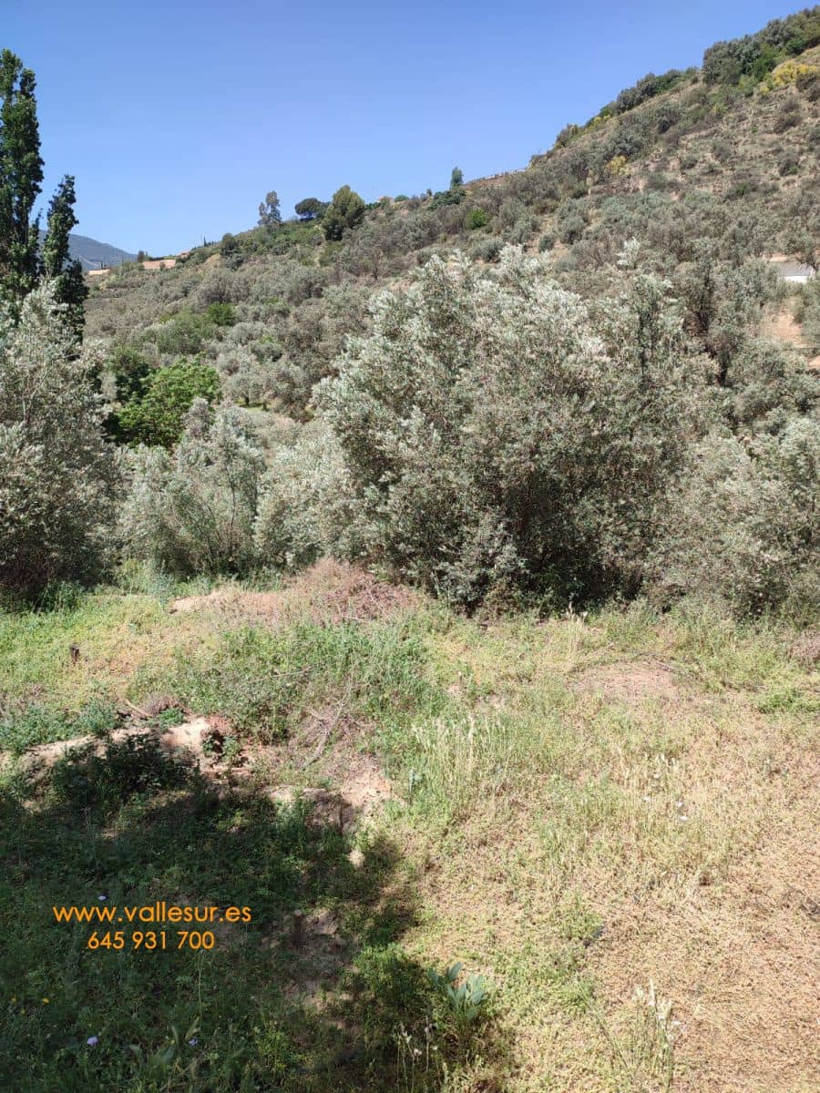 Grunde uden byggetilladelser til salg i Chite - € 10.500 (Ref: 9694886)