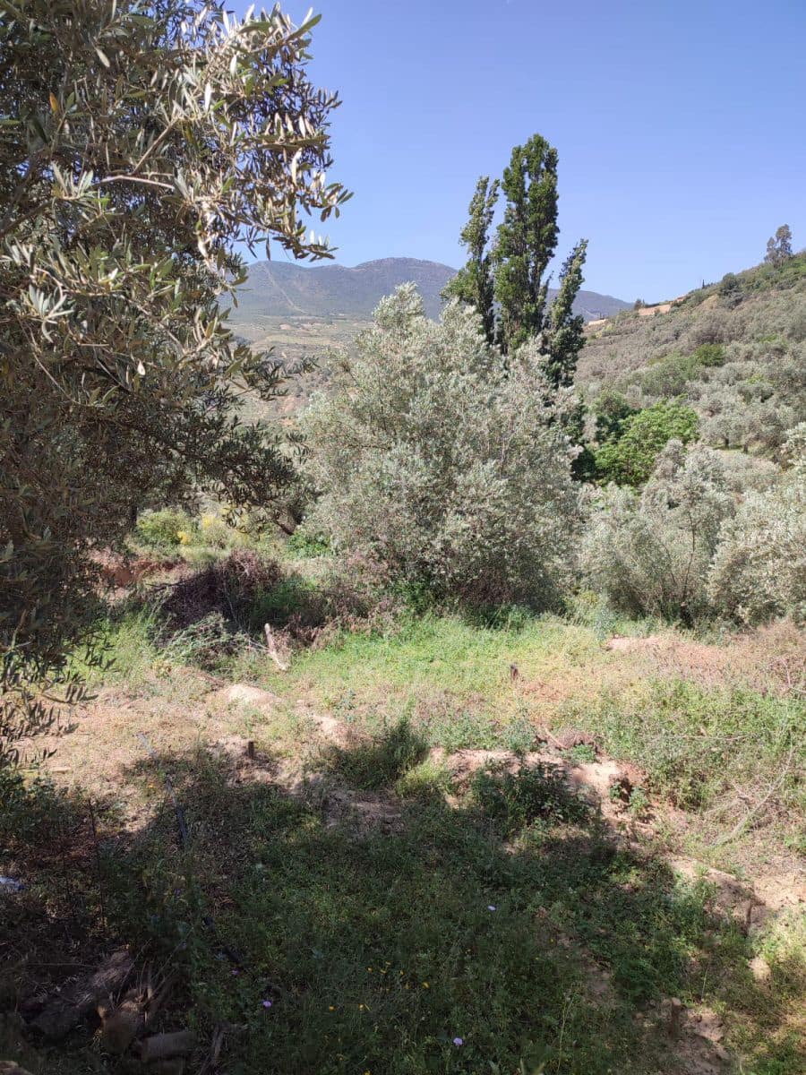 Grunde uden byggetilladelser til salg i Chite - € 10.500 (Ref: 9694886)