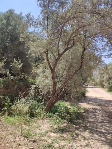 Grunde uden byggetilladelser til salg i Chite, Lecrín - € 10.500 (Ref: 9694886)