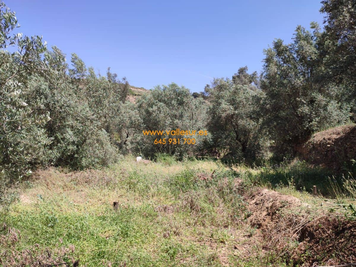 Grunde uden byggetilladelser til salg i Chite - € 10.500 (Ref: 9694886)