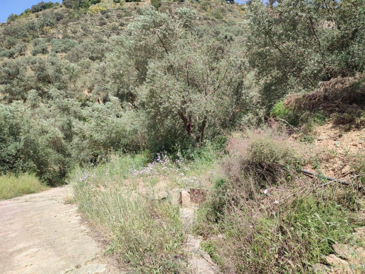 Grunde uden byggetilladelser til salg i Chite - € 10.500 (Ref: 9694886)