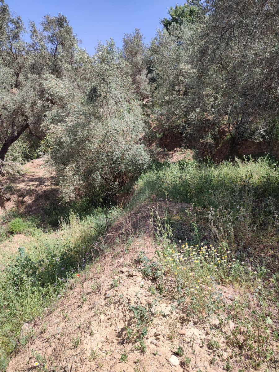 Grunde uden byggetilladelser til salg i Chite - € 10.500 (Ref: 9694886)