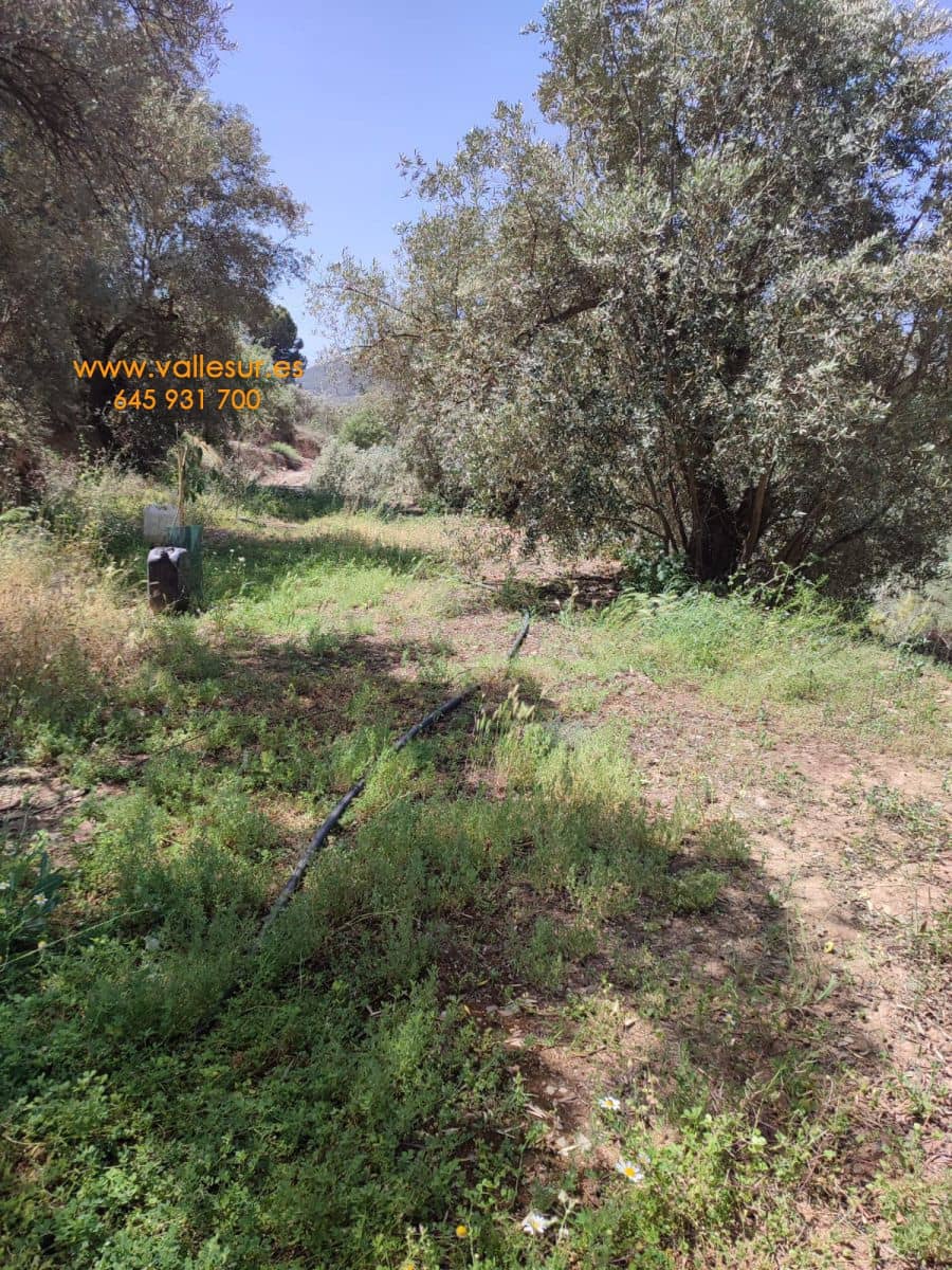 Grunde uden byggetilladelser til salg i Chite - € 10.500 (Ref: 9694886)