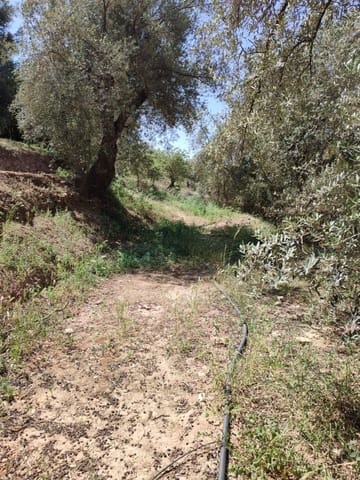 Grunde uden byggetilladelser til salg i Chite, Lecrín - € 10.500 (Ref: 9694886)