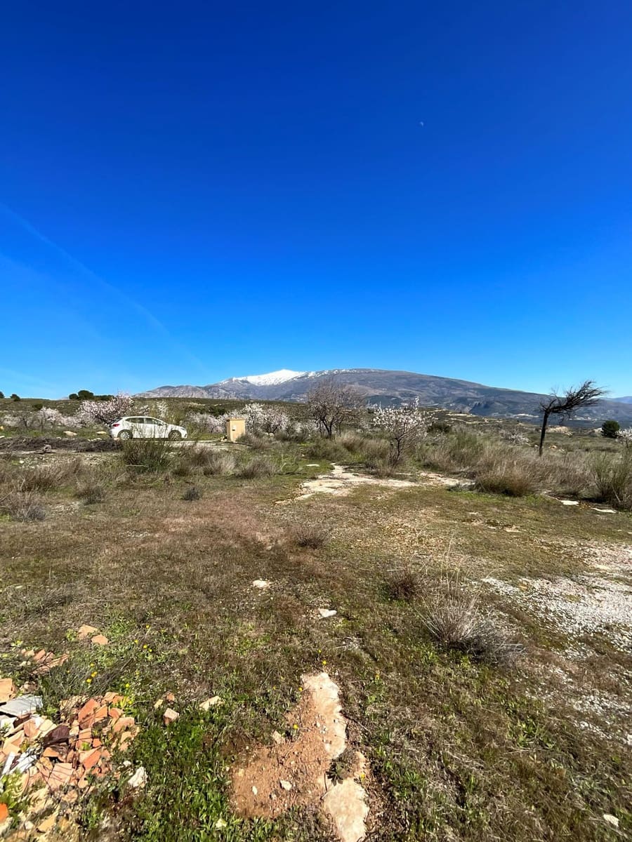 Undeveloped Land for sale in Restabal - € 115,000 (Ref: 9719704)