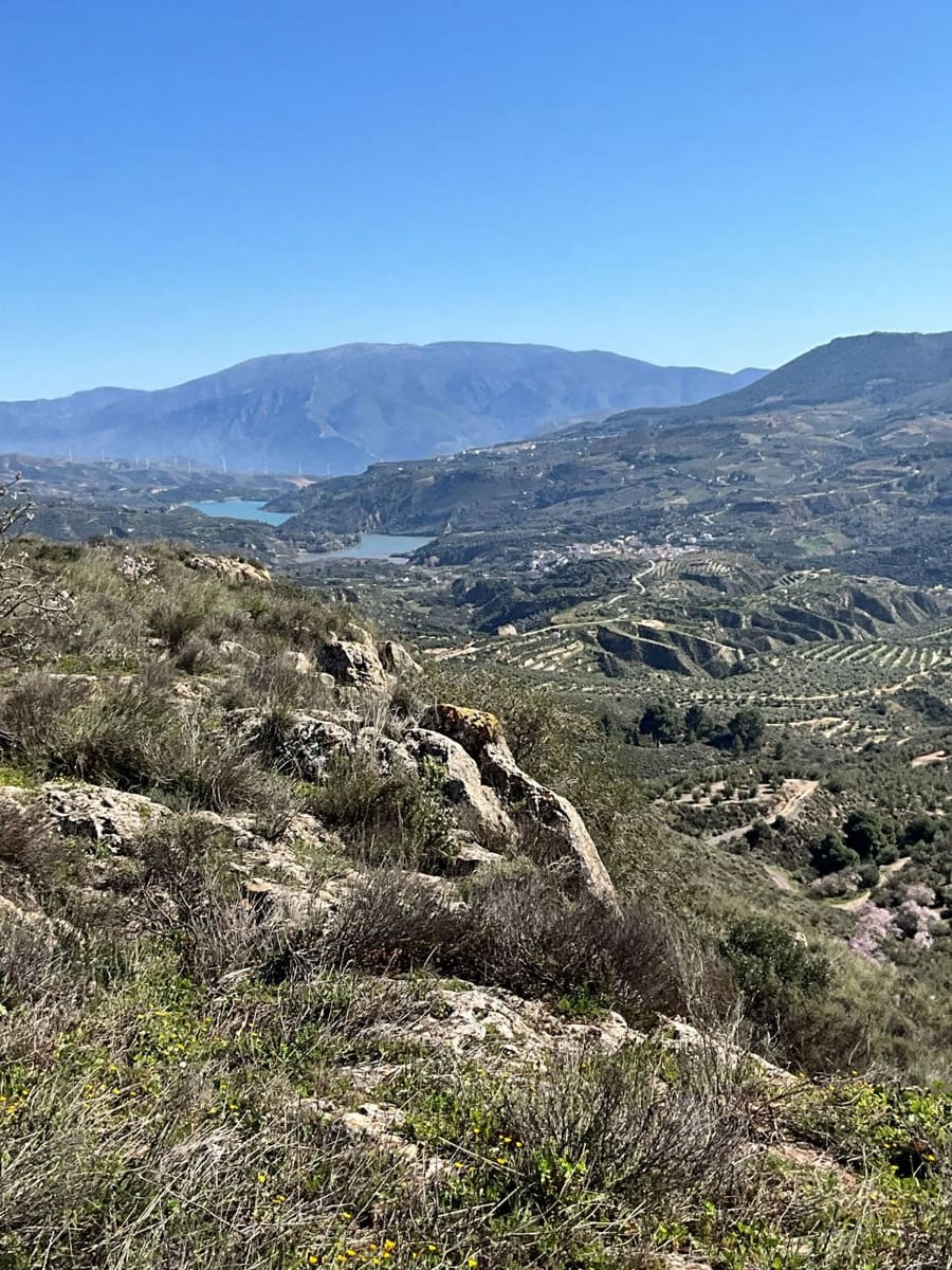 Undeveloped Land for sale in Restabal - € 115,000 (Ref: 9719704)