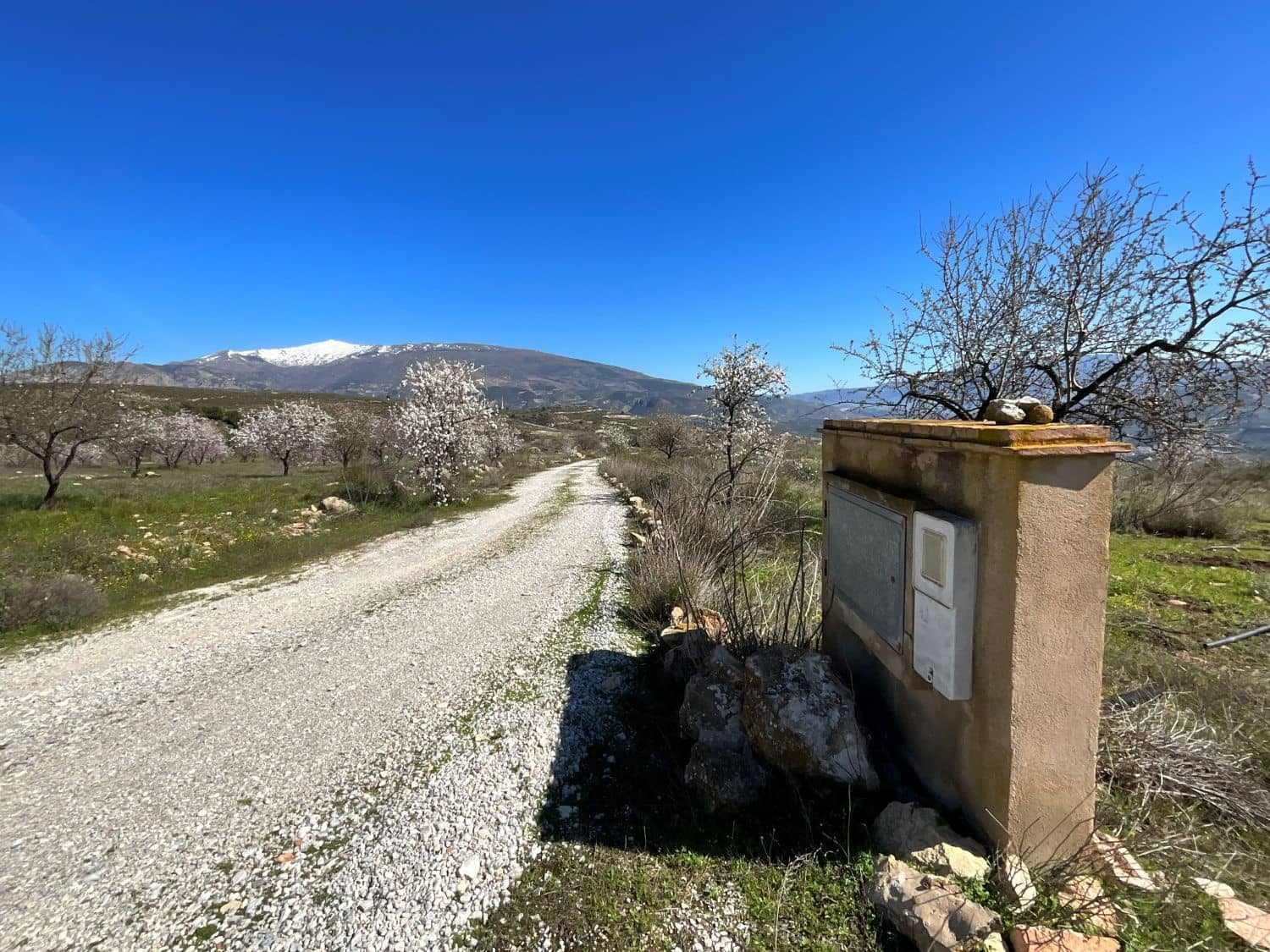 Undeveloped Land for sale in Restabal - € 115,000 (Ref: 9719704)