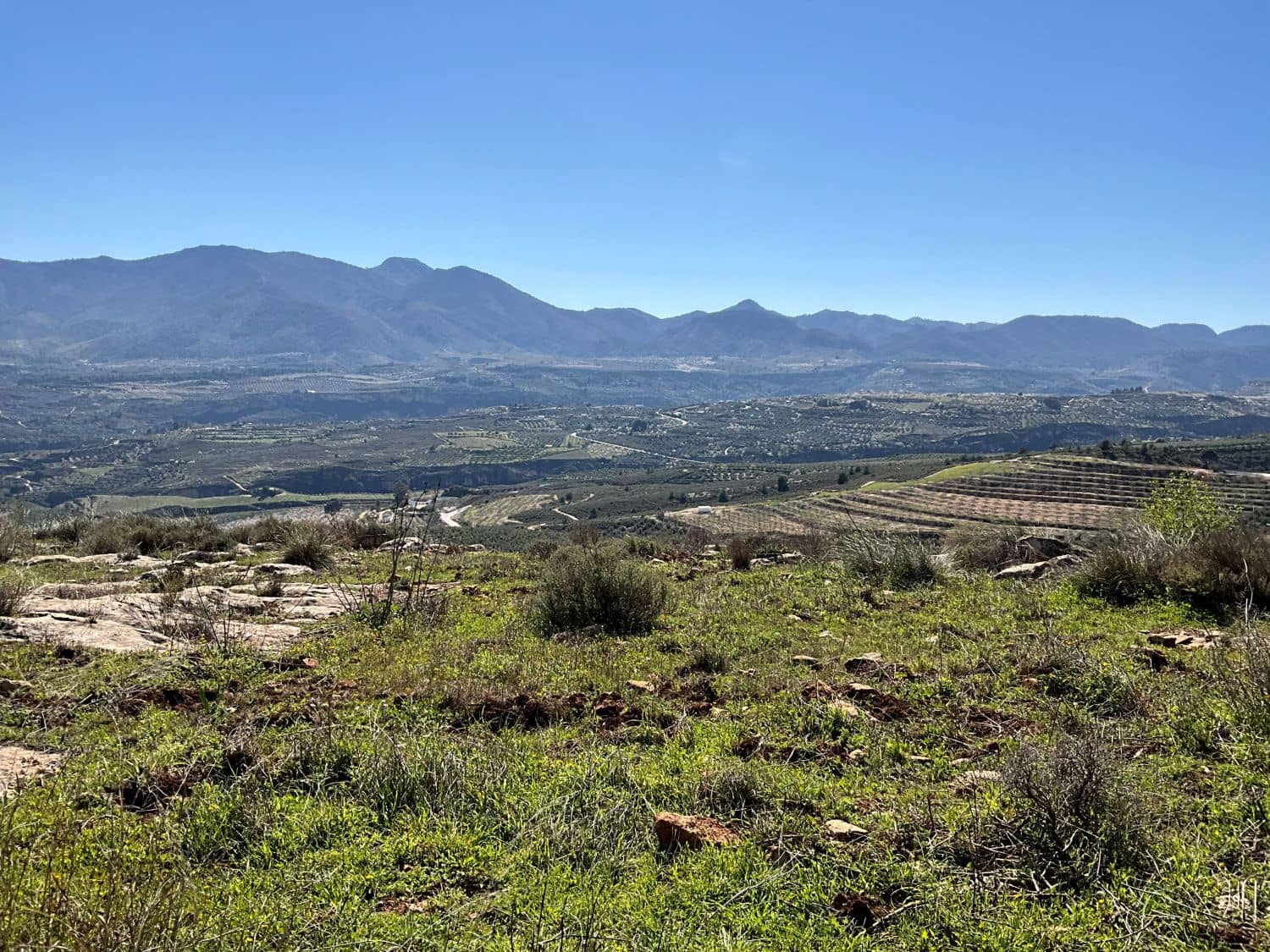 Undeveloped Land for sale in Restabal - € 115,000 (Ref: 9719704)