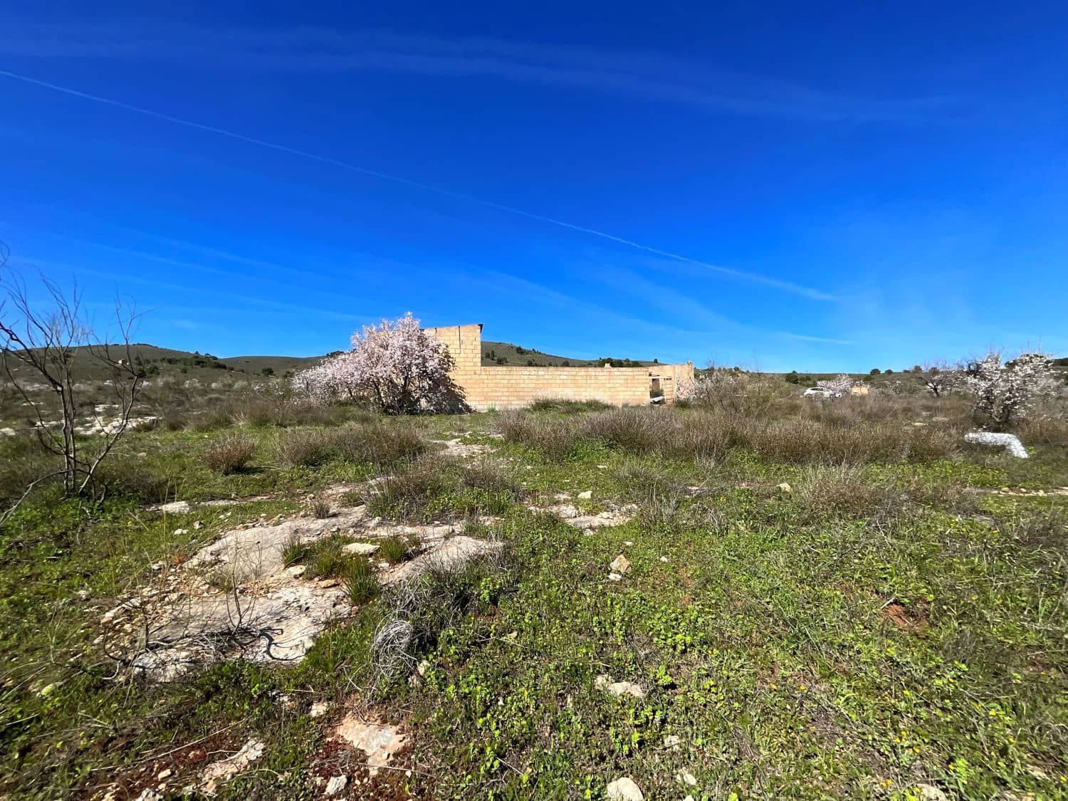 Undeveloped Land for sale in Restabal - € 115,000 (Ref: 9719704)