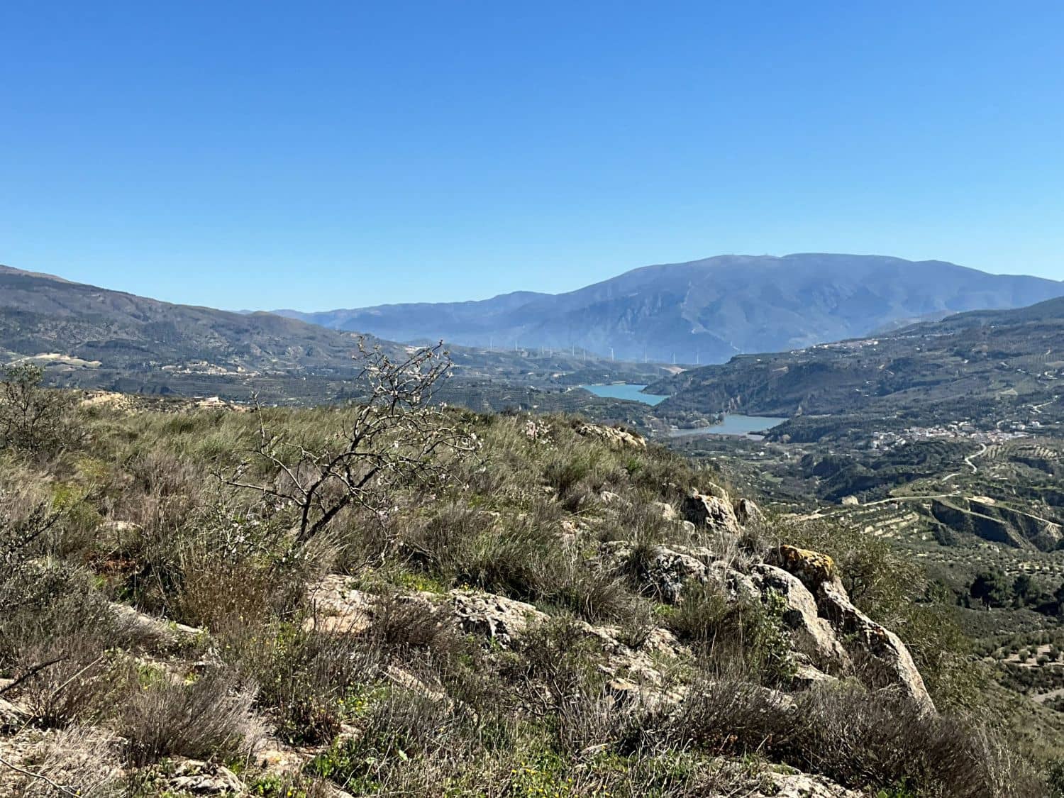 Undeveloped Land for sale in Restabal - € 115,000 (Ref: 9719704)