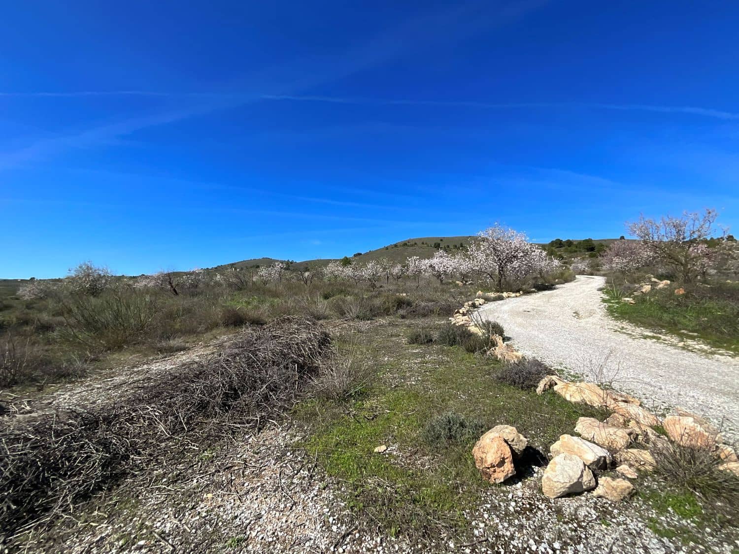 Undeveloped Land for sale in Restabal - € 115,000 (Ref: 9719704)