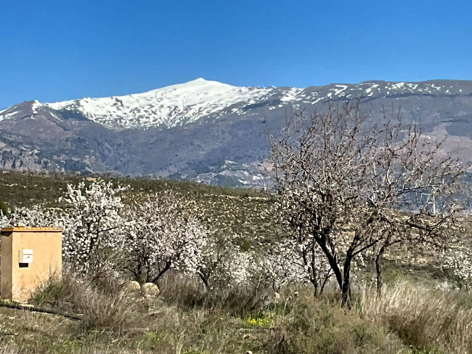 Undeveloped Land for sale in Restabal - € 115,000 (Ref: 9719704)