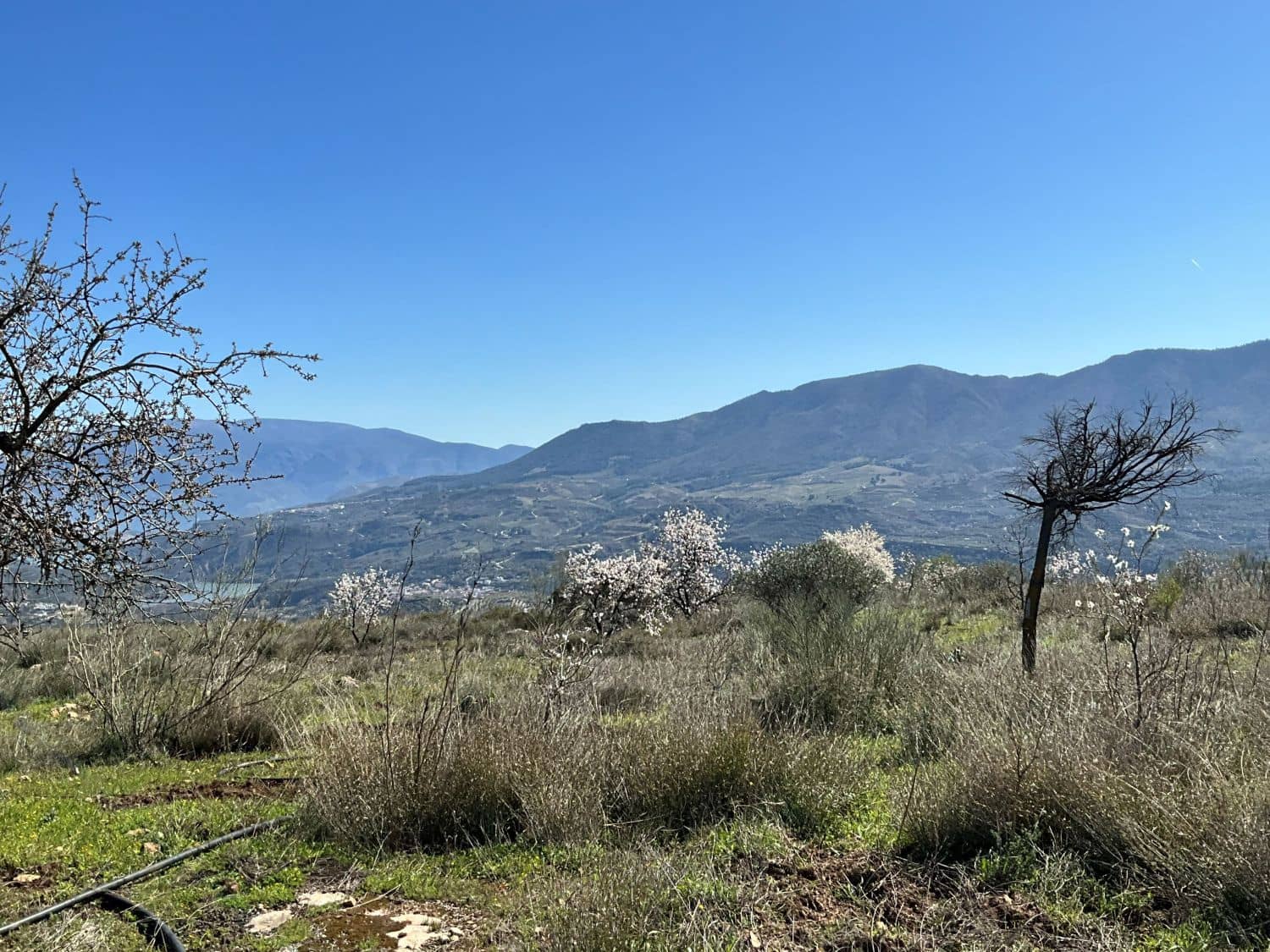 Undeveloped Land for sale in Restabal - € 115,000 (Ref: 9719704)