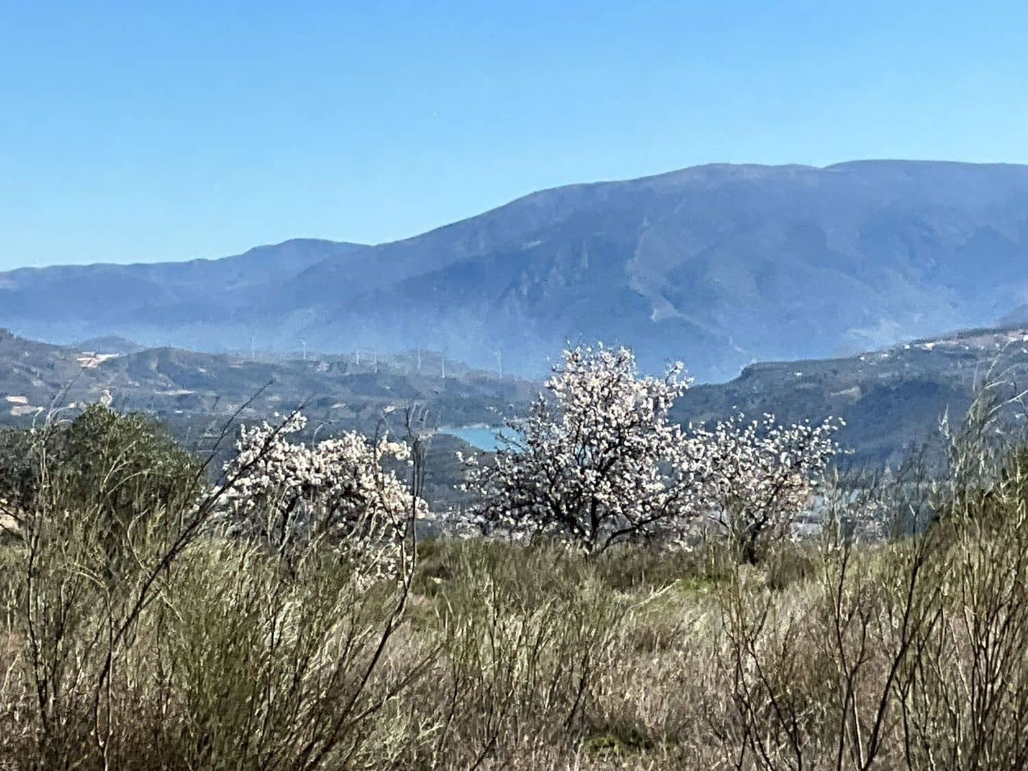 Undeveloped Land for sale in Restabal - € 115,000 (Ref: 9719704)