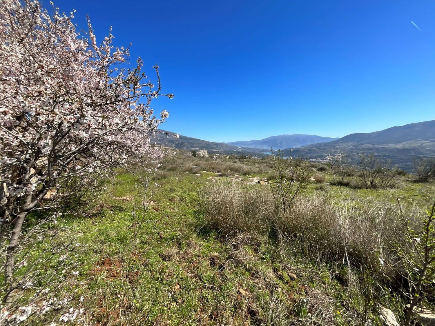 Undeveloped Land for sale in Restabal - € 115,000 (Ref: 9719704)