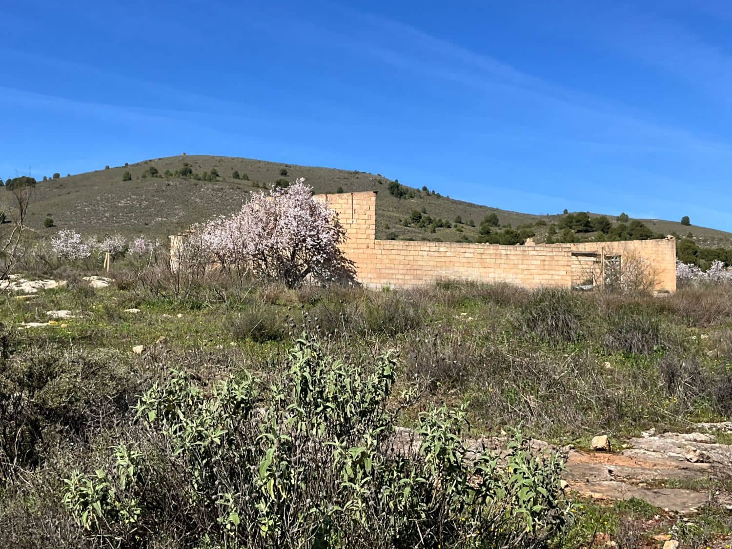 Undeveloped Land for sale in Restabal - € 115,000 (Ref: 9719704)