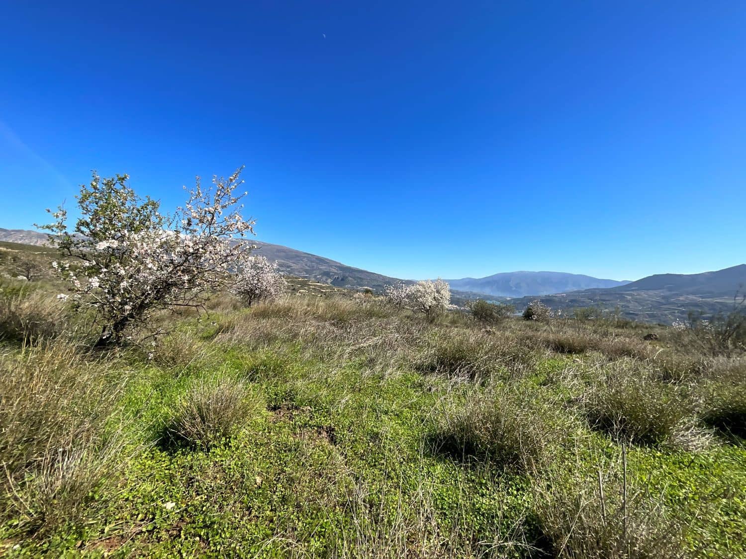 Undeveloped Land for sale in Restabal - € 115,000 (Ref: 9719704)
