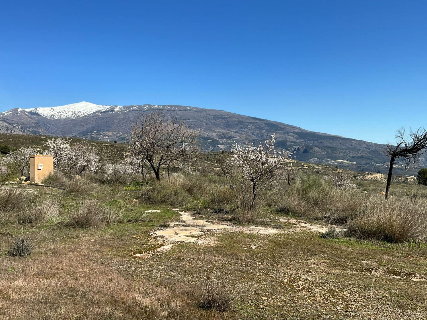 Undeveloped Land for sale in Restabal - € 115,000 (Ref: 9719704)