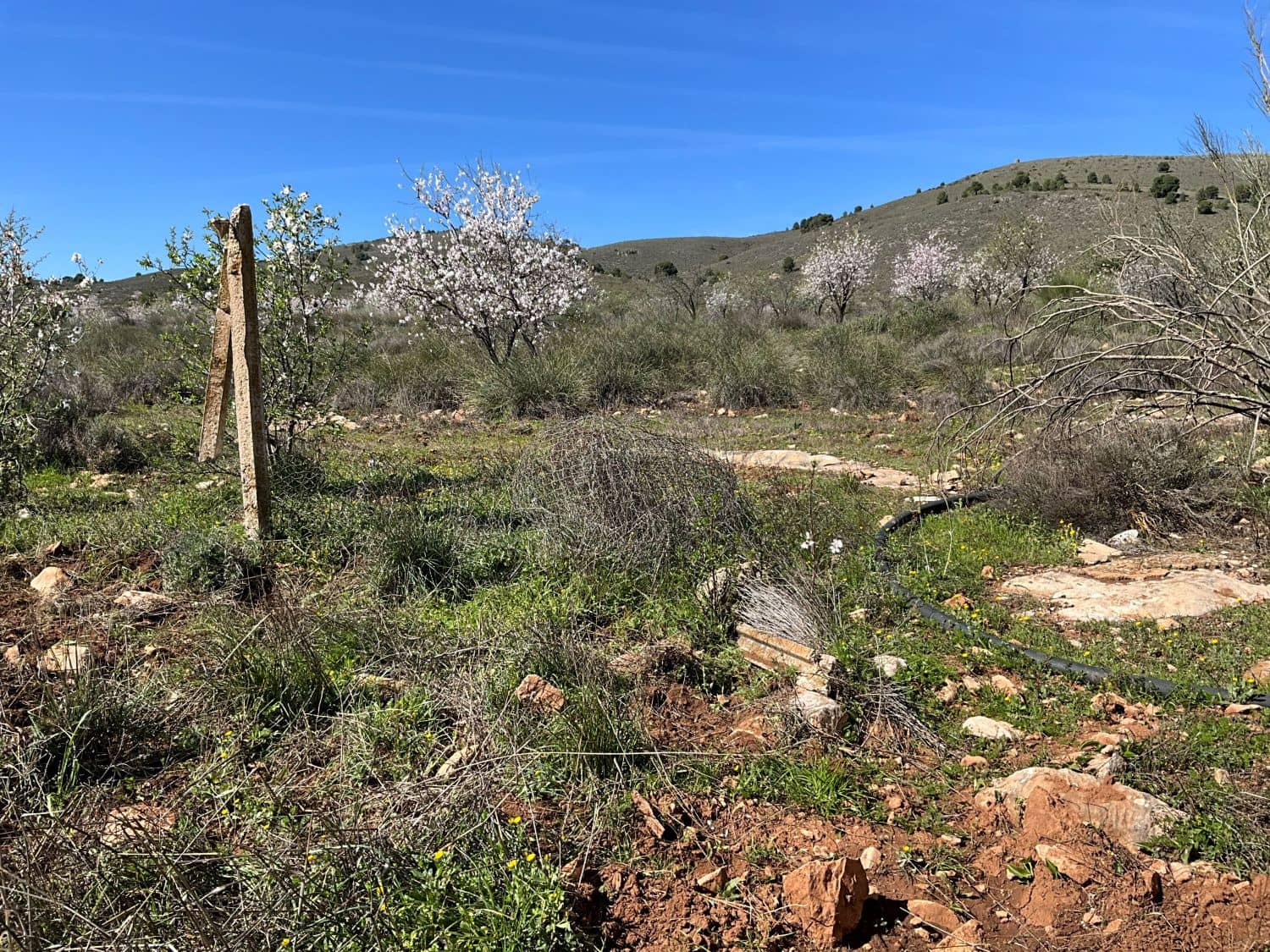 Undeveloped Land for sale in Restabal - € 115,000 (Ref: 9719704)