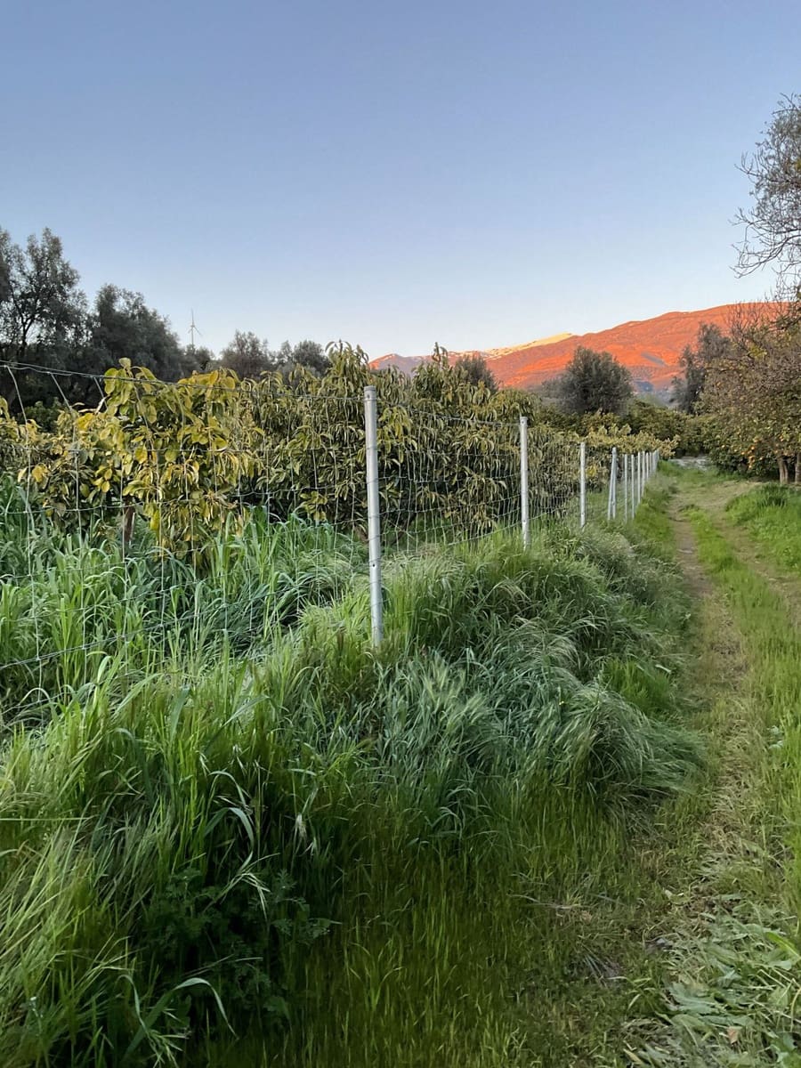 Grond te koop in Murchas - € 46.000 (Ref: 9758664)