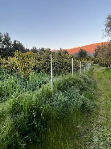 Grond te koop in Murchas, Lecrín - € 46.000 (Ref: 9758664)