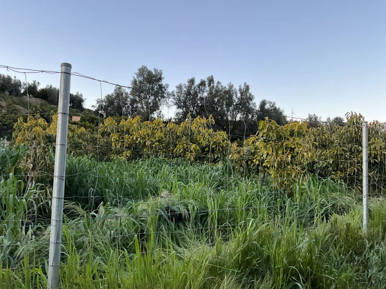 Grond te koop in Murchas - € 46.000 (Ref: 9758664)