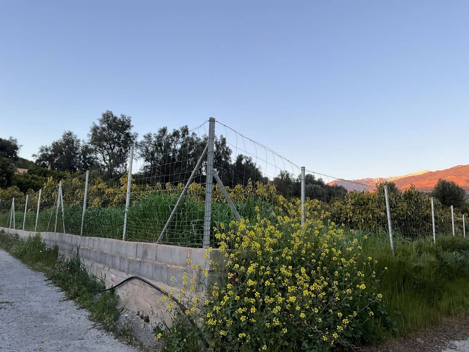 Grond te koop in Murchas - € 46.000 (Ref: 9758664)