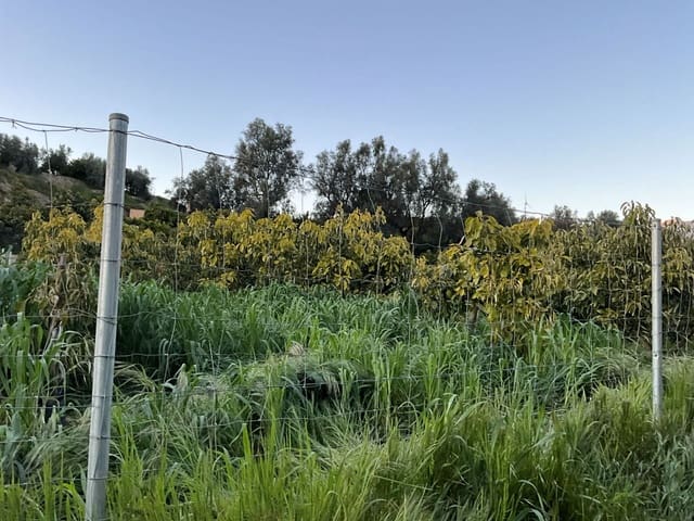 Grond te koop in Murchas, Lecrín - € 46.000 (Ref: 9758664)