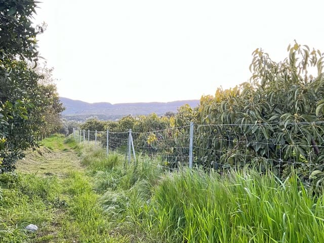 Grond te koop in Murchas, Lecrín - € 46.000 (Ref: 9758664)