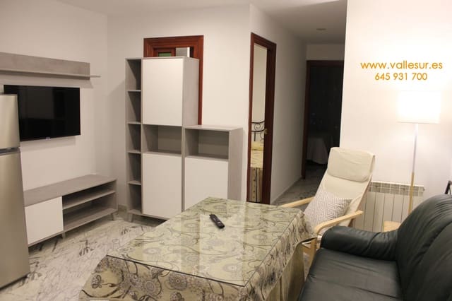 2 soveværelse Lejlighed til leje i Granada by - € 750 (Ref: 9761778)