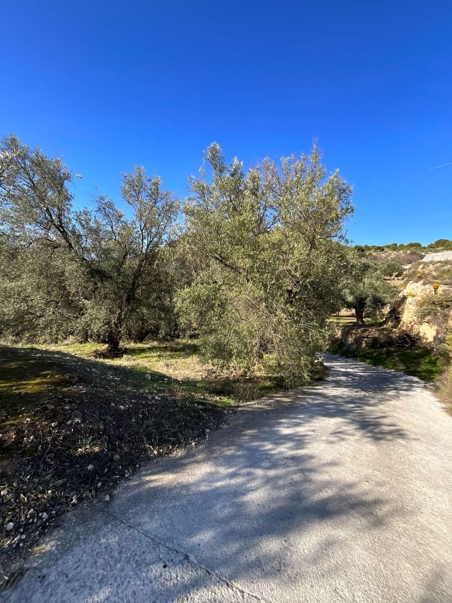 Undeveloped Land for sale in Pinos del Valle - € 15,000 (Ref: 9772805)