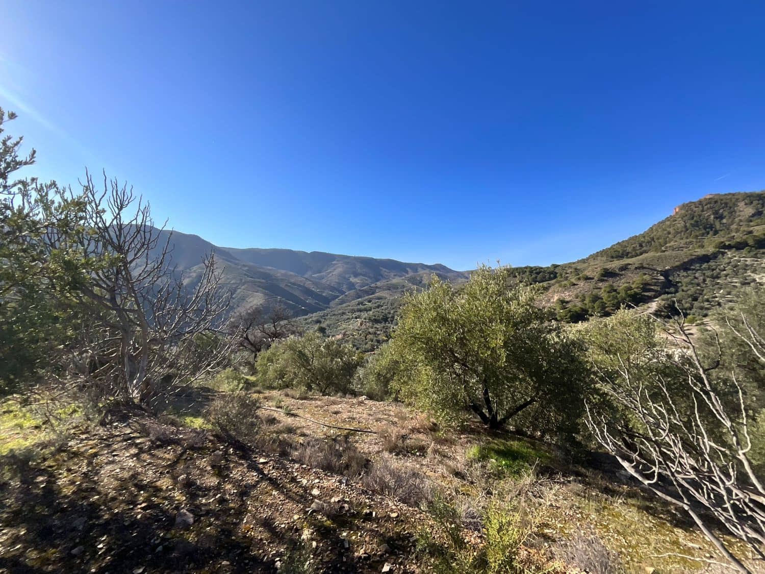 Undeveloped Land for sale in Pinos del Valle - € 15,000 (Ref: 9772805)