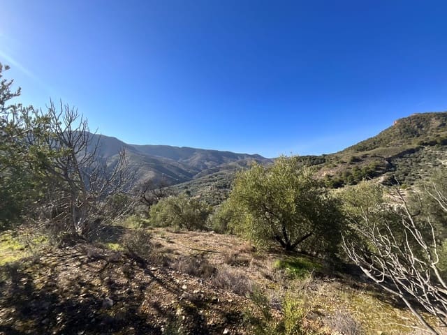 Terreno Non Edificato in vendita in Pinos del Valle, El Pinar - 15.000 € (Rif: 9772805)