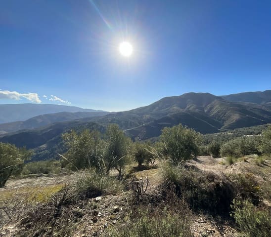 Terreno Non Edificato in vendita in Pinos del Valle, El Pinar - 15.000 € (Rif: 9772805)