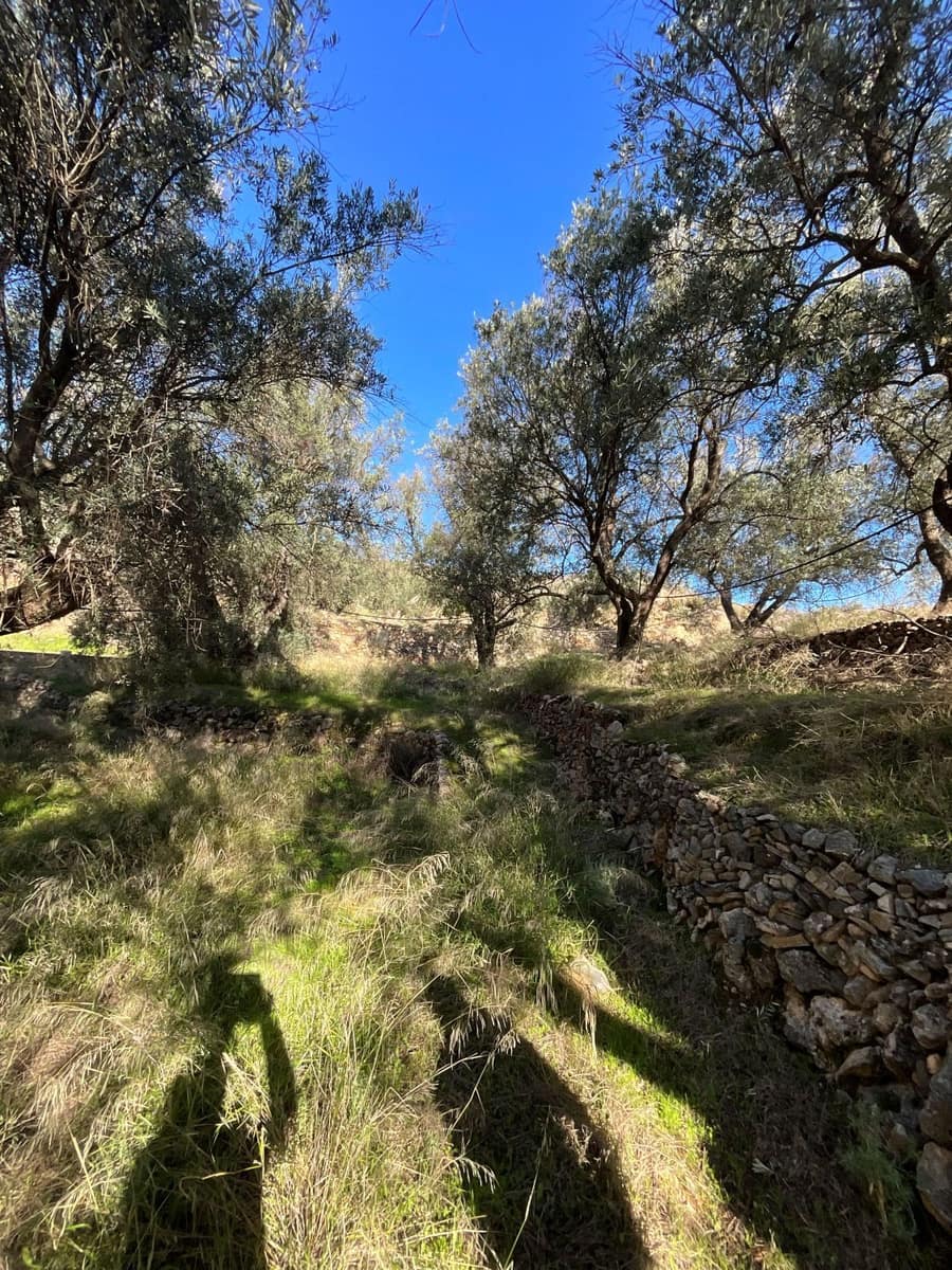 Undeveloped Land for sale in Pinos del Valle - € 15,000 (Ref: 9772805)