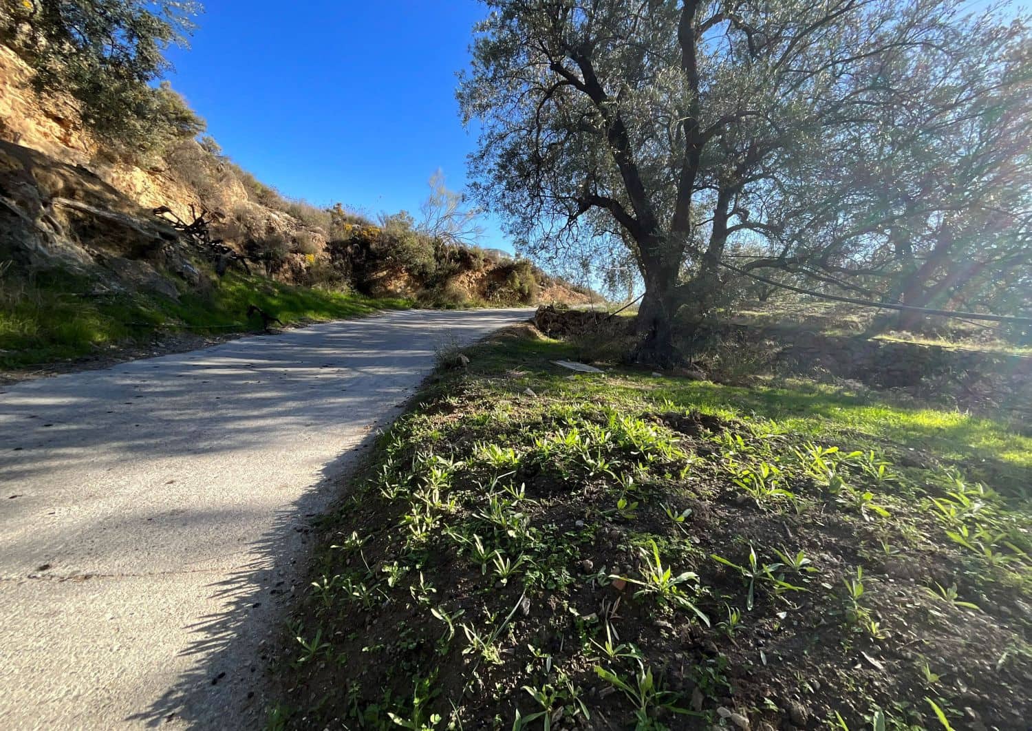 Undeveloped Land for sale in Pinos del Valle - € 15,000 (Ref: 9772805)