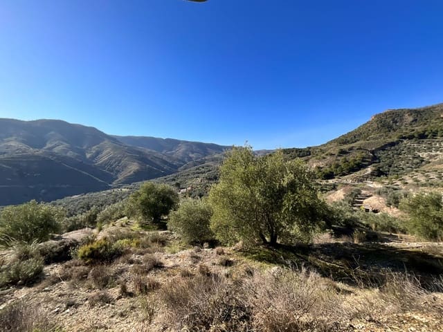 Terreno Non Edificato in vendita in Pinos del Valle, El Pinar - 15.000 € (Rif: 9772805)