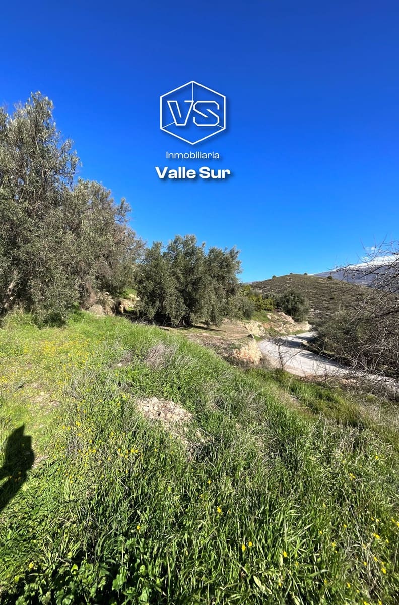 Undeveloped Land for sale in Pinos del Valle - € 15,000 (Ref: 9772805)