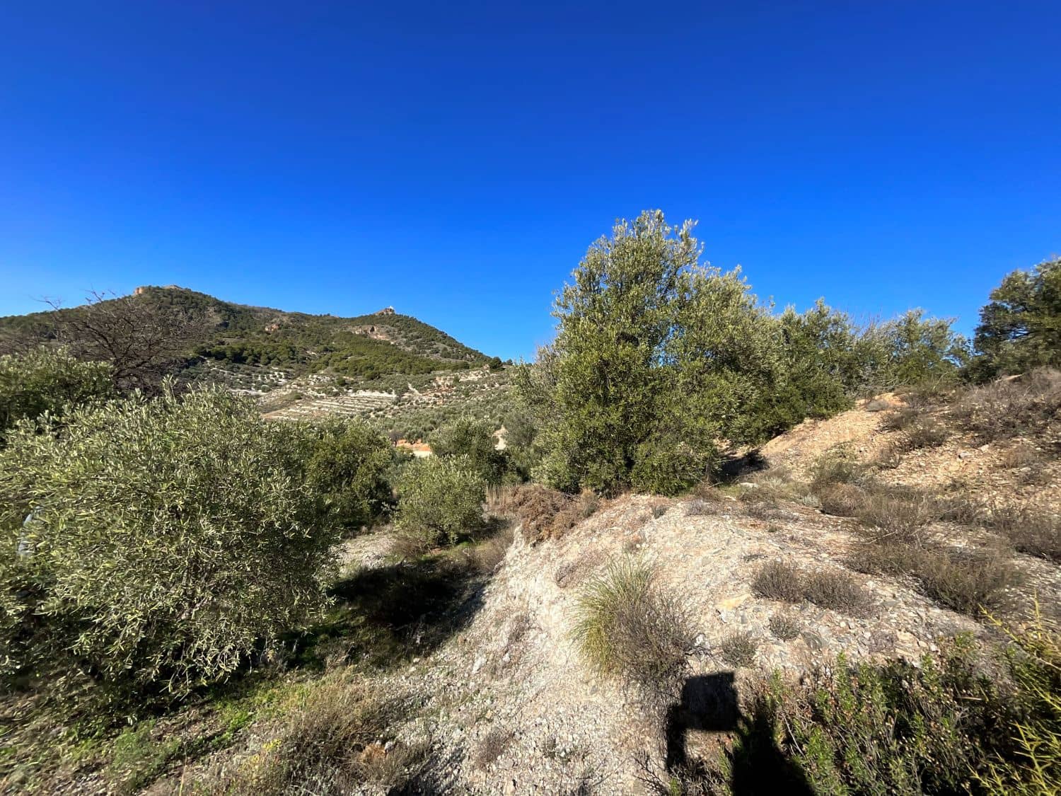 Undeveloped Land for sale in Pinos del Valle - € 15,000 (Ref: 9772805)