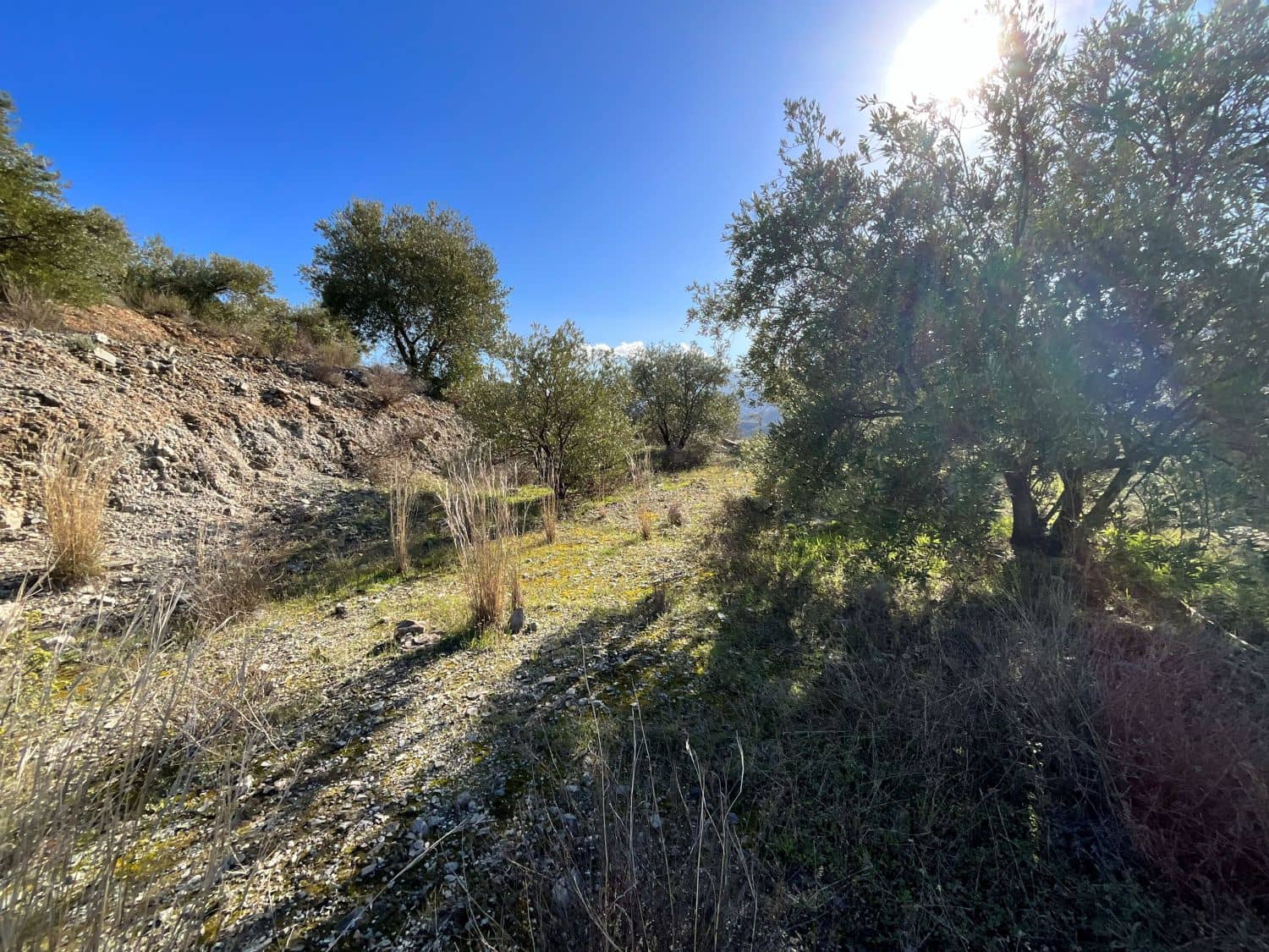 Undeveloped Land for sale in Pinos del Valle - € 15,000 (Ref: 9772805)