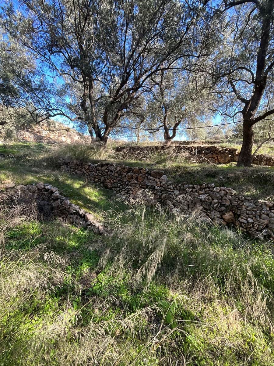 Undeveloped Land for sale in Pinos del Valle - € 15,000 (Ref: 9772805)