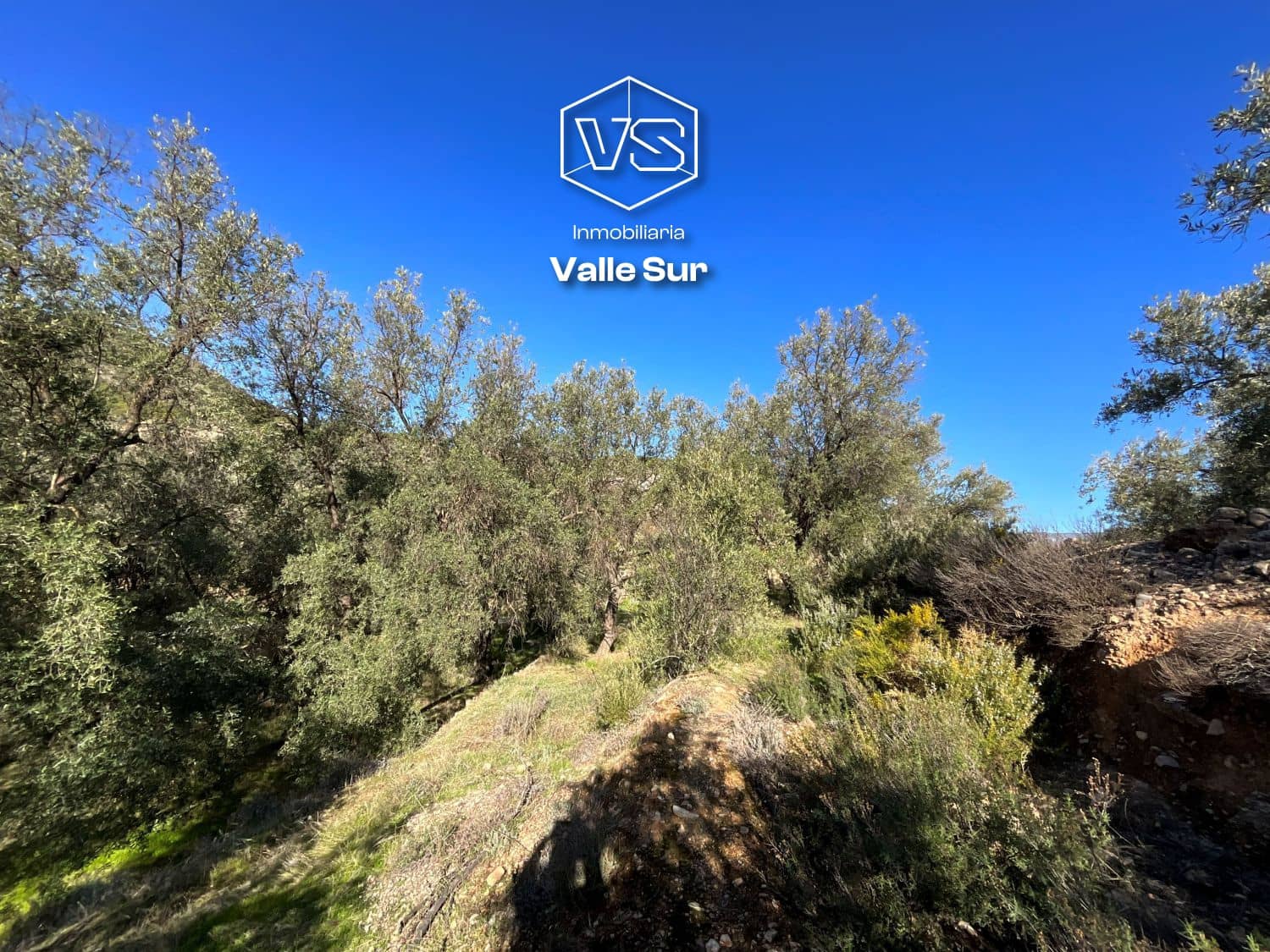 Undeveloped Land for sale in Pinos del Valle - € 15,000 (Ref: 9772805)