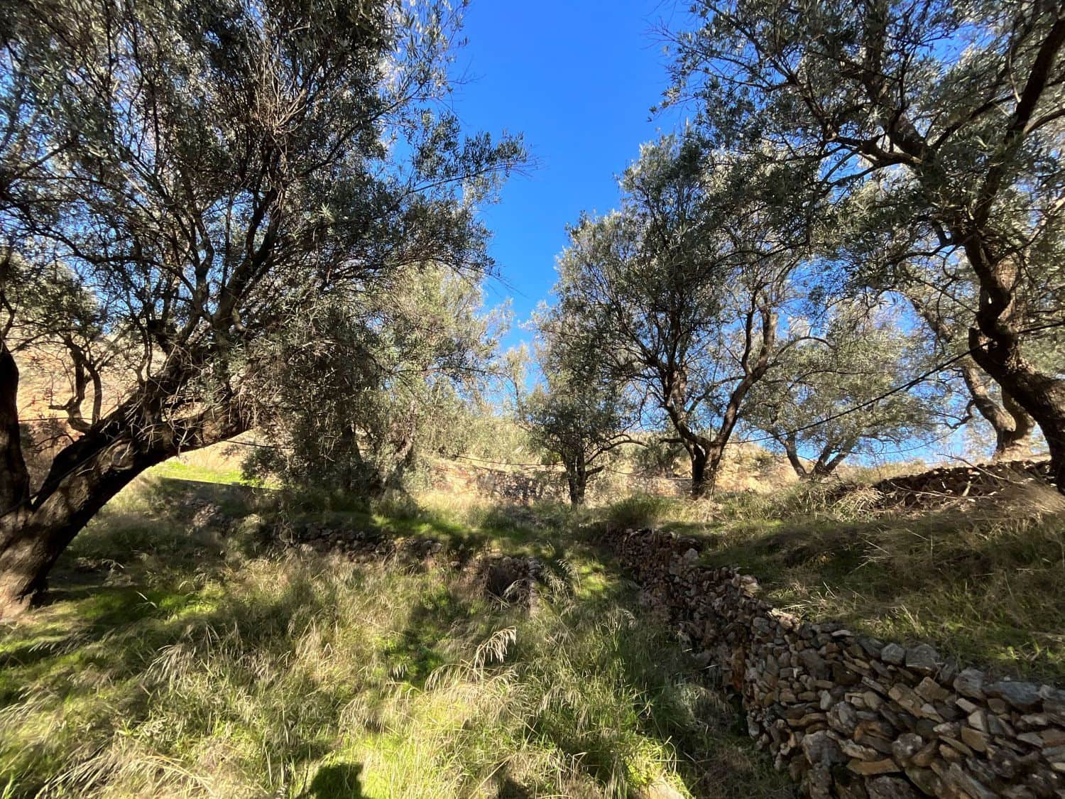 Undeveloped Land for sale in Pinos del Valle - € 15,000 (Ref: 9772805)