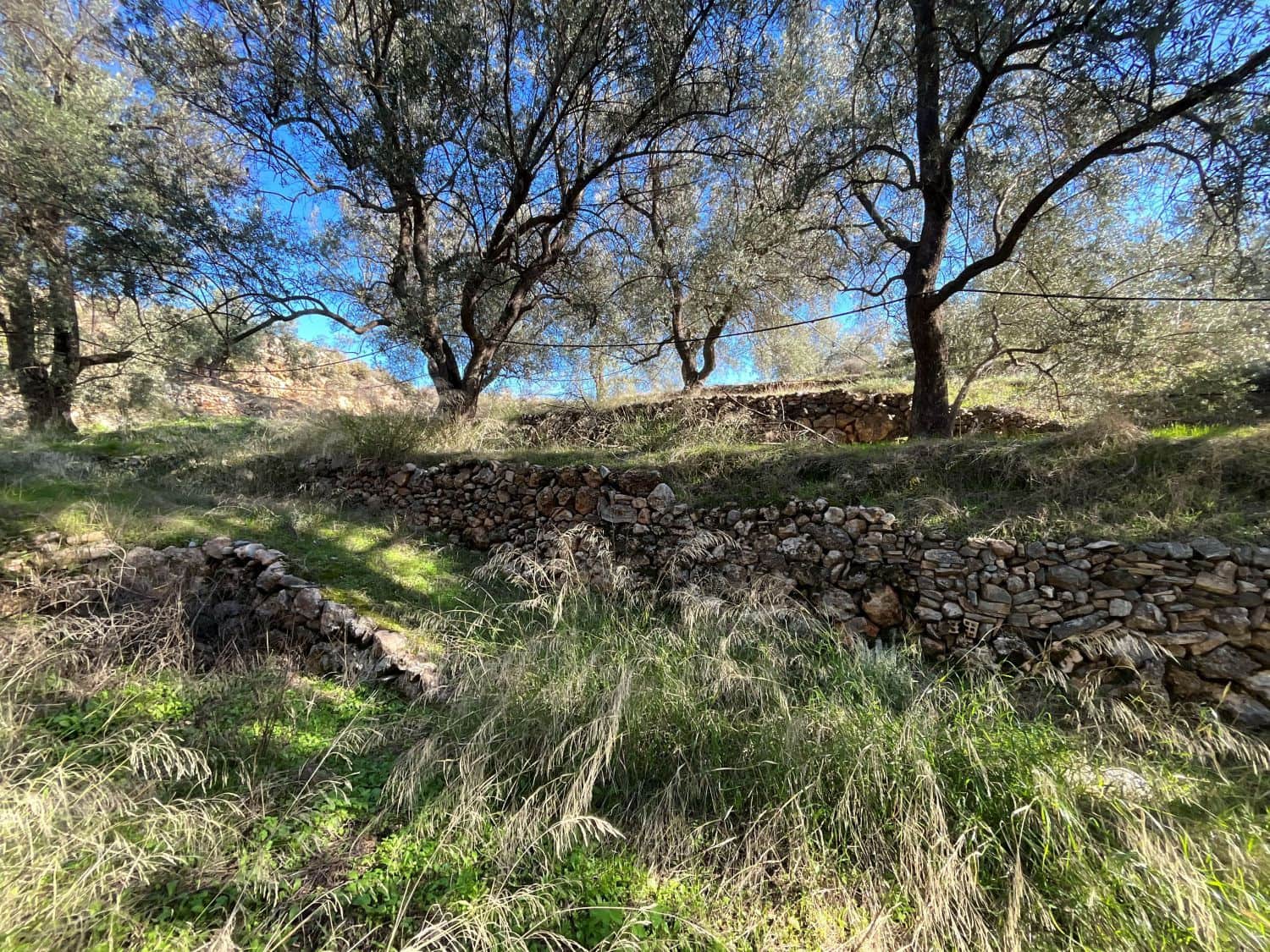 Undeveloped Land for sale in Pinos del Valle - € 15,000 (Ref: 9772805)