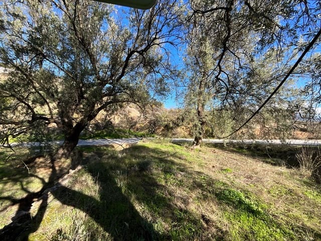 Terreno Non Edificato in vendita in Pinos del Valle, El Pinar - 15.000 € (Rif: 9772805)