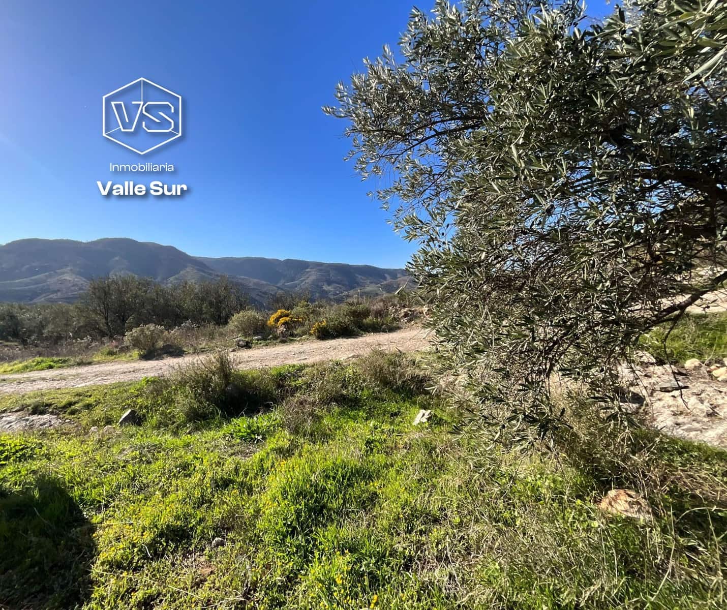 Undeveloped Land for sale in Pinos del Valle - € 15,000 (Ref: 9772805)