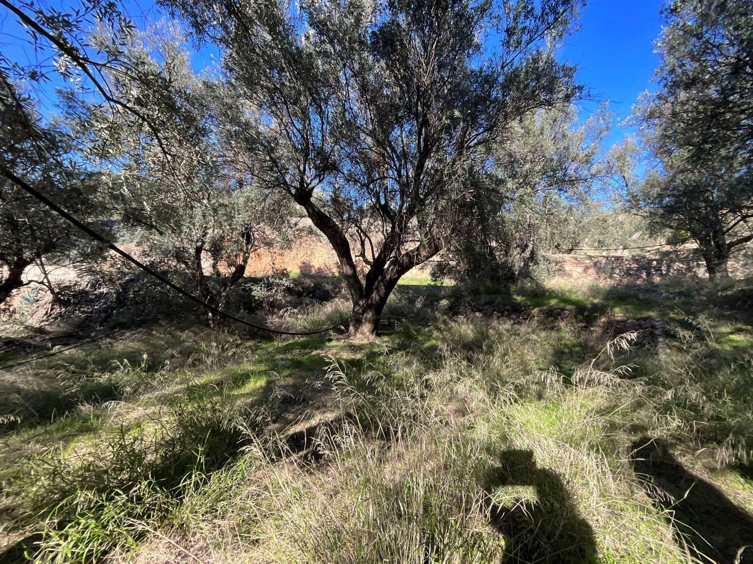 Undeveloped Land for sale in Pinos del Valle - € 15,000 (Ref: 9772805)